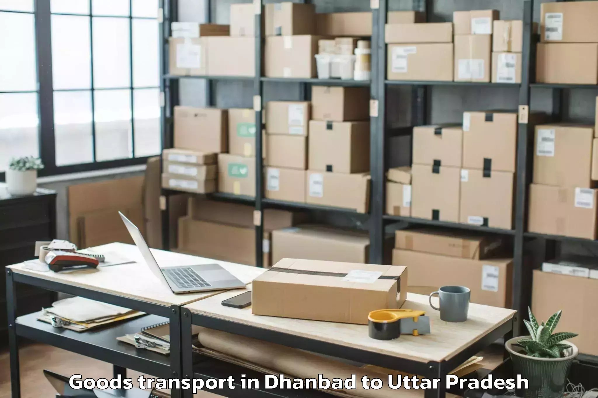 Hassle-Free Dhanbad to Bhadohi Goods Transport